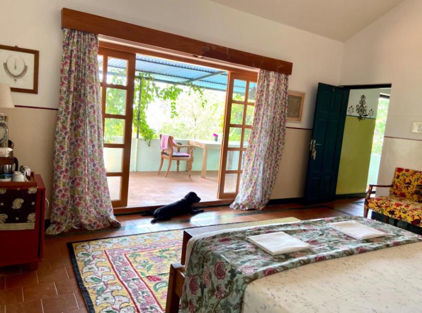 Bed & Breakfast Jacaranda *
